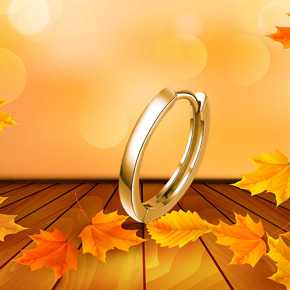 Creolen 925 Sterling Silber 18K vergoldet – Vintage Hoop Ohrringe mit Scharnier | WILLYS JEWELLERY